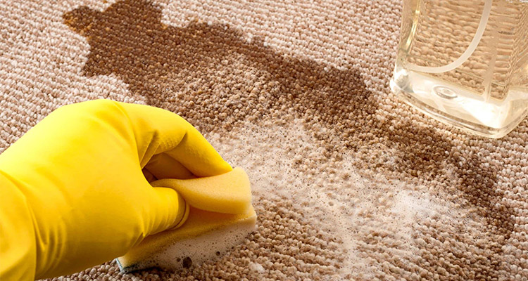 پاک کردن لکه‌های شکلات از روی فرش